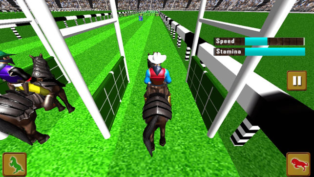 马 赛跑 锦标赛 2017年