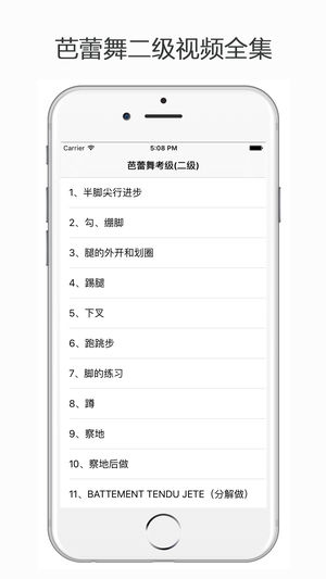 芭蕾舞考级二级
