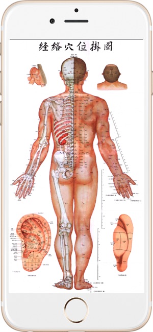 全套高清人体穴位图