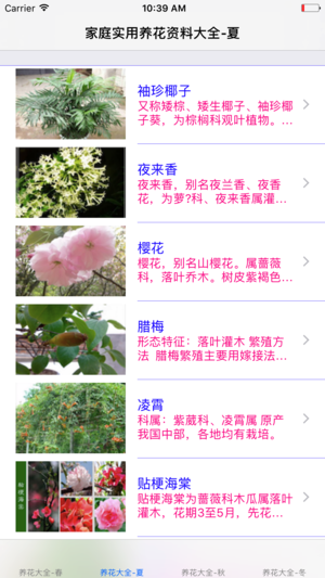 养花实用资料大全 家庭办公养花必备