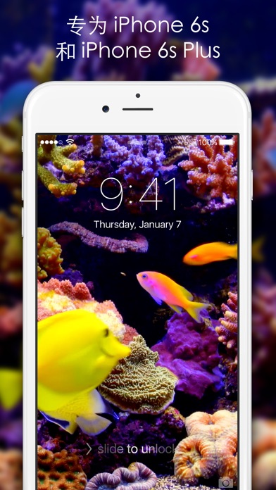动态壁纸 和 主题 - 供 iPhone 6s 和 6s Plus 使用的 漂亮 的高清 背景、壁纸 和 动画图像