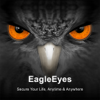EagleEyes-plus